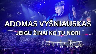 Adomas Vyšniauskas  Jeigu Žinai Ko Tu Nori Official Audio [upl. by Wawro]