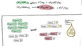 Chemische Puffersysteme [upl. by Roselia]