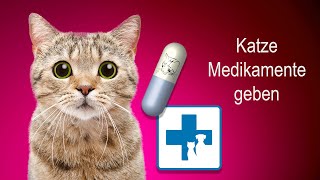 Wie gebe ich meiner Katze Medikamente und Tabletten [upl. by Nek738]