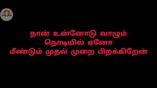 Adi penne Tamil lyrics [upl. by Esekram]