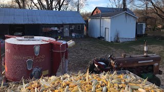 Ear corn from field to feed picking and grinding cattle feed [upl. by Haibot]