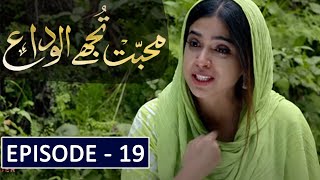 Mohabbat Tujhe Alvida Episode 19 Teaser  Mohabbat Tujhe Alvida Episode 19 Review  Hum Tv Drama [upl. by Romie]