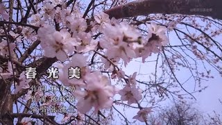 86年张德兰一首《春光美》美妙歌声征服亿万观众，传遍大江南北 [upl. by Adnolat]