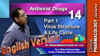 Antiviral ChemotherapyEn  Part 1 virus structure and life cycle [upl. by Kaltman691]