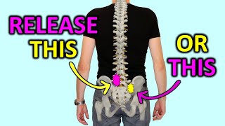 Release Your Lower Back Pain Like A Chiropractor [upl. by Crispa]