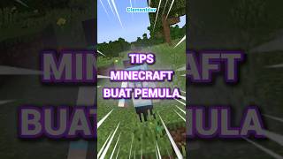 Tips Minecraft Buat PEMULA11 [upl. by Komara395]