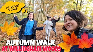 AUTUMN WALK AT WILLINGHAM WOODS [upl. by Hartley]