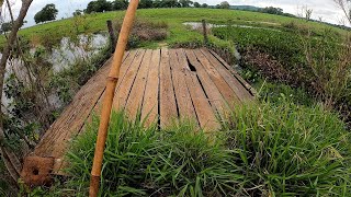 TODO CUIDADO É POUCO COM ESSAS PONTES a DOR VAI DE 0 a 100 EM SEGUNDOSpescaria [upl. by Bubalo]