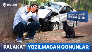 PALAKAT yozilmagan qonunlar murphylaw [upl. by Neelyahs]