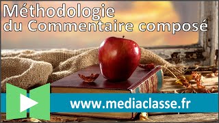 Méthodologie du commentaire composé ancienne version [upl. by Liamsi]