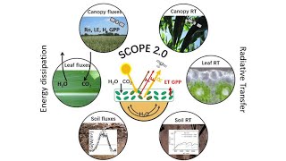 8 SCOPE mSCOPE multilayer [upl. by Eliam418]