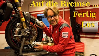 Was macht meine Bremszange ❓ Und warum tut sie es ❓❓ Motorrad Bremse im Quickcheck ➕ Ducati ➕ Brembo [upl. by Saum]