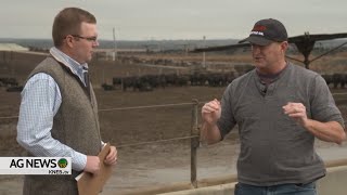 THIS is why the US Heifer Retention Remains Low  Insights from Feedlot Owner [upl. by Odrarej]