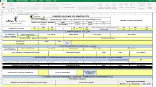 Tutorial Formatos Evaluación del Desempeño Laboral 2017 [upl. by Oirretno]