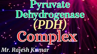 Pyruvate Dehydrogenase PDH ComplexCSIR NET in hindi [upl. by Odlaniger461]