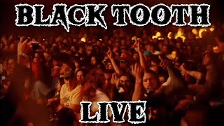 BLACK TOOTH Live In Phoenix 2024 King Gizzard amp The Lizard Wizard [upl. by Ylra370]