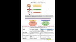 ADH amp ITS DISORDERS diabetesinsipidus kidney hyponatremia osmolality water trending shorts [upl. by Znerol506]