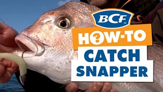 How to Catch Snapper on Lures [upl. by Anerec]