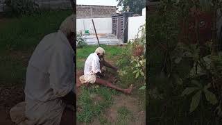 Maa thaatha🩶gardening [upl. by Ede]