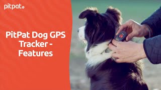 PitPat Dog GPS Tracker  Features [upl. by Kilian]