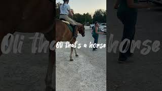 Oli that’s a horse horse idontknowwhattoputhere rideforrosie equestrian horseriding [upl. by Arza]