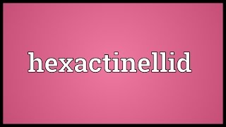 Hexactinellid Meaning [upl. by Jimmy]