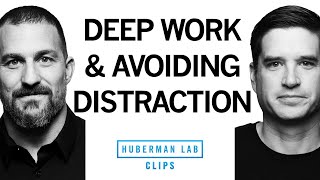 Avoiding Distractions amp Doing Deep Work  Dr Cal Newport amp Dr Andrew Huberman [upl. by Aicel172]