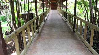 Pachira Lodge  Hotels in the Tortuguero area of Costa Rica [upl. by Eduj]