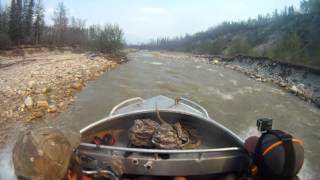 11Ft Jet Boating Moody creek [upl. by Pollitt]