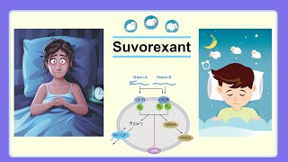 suvorexant [upl. by Macfadyn]