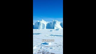 Unveiling Antarcticas Hidden Secrets shorts facts curiousfacts nature [upl. by Aland328]