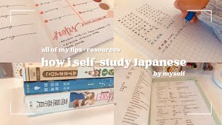 how i study japanese selfstudy by myself  my tips amp best resources for beginners  my guide [upl. by Tillio]