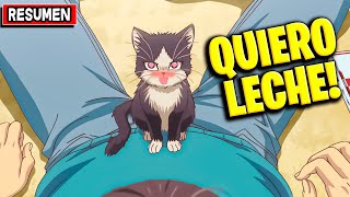 😥PROTA DEPRE adopta a una GATITA🐱 que le SALVÓ la VIDA 💖  Doukyonin wa hiza RESUMEN COMPLETO [upl. by Senoj160]