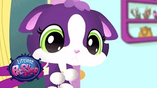 Littlest Pet Shop  Meow Manor [upl. by Anigriv]