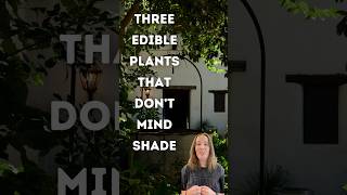 Edible plants that handle shade plantnet gardening fruitplants garden plants [upl. by Megargee]