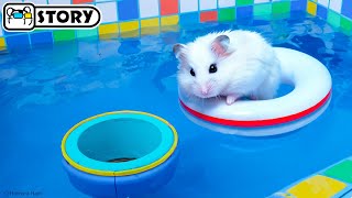 The Awesome Hamster Pool Maze 🐹 Homura Ham Pets [upl. by Enak585]