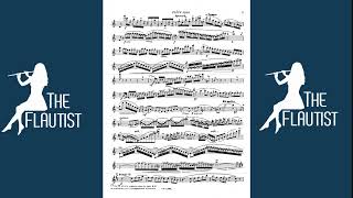 Flute Lessons Learning Score Concertino CChaminade learning flutelessons [upl. by Lirrad]