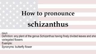 How to pronounce schizanthus  meaning [upl. by Rednael]