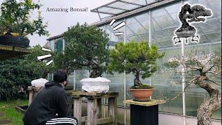 Devon Bonsai Nursery 2024 [upl. by Daniyal]