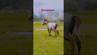 dhorpatan hunting reserve baglung nepal comment suscribe travel [upl. by Kylila211]