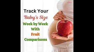 Fetal Development Week By Week  Baby Size Comparison With Fruits [upl. by Warrick]