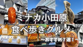 【ミナカ小田原】食べ歩き vlog │ おすすめグルメ７選！小田原観光／神奈川グルメ／箱根／人気 [upl. by Nedaj]