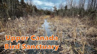 Upper Canada Migratory Bird Santuary  Hiking in Ingleside Ontario [upl. by Telracs]