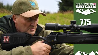 Fieldsports Britain – the magic of sika [upl. by Beryle]