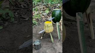 Survival Skills single mom steam bad water in watermelon camping outdoors bushcraft survival [upl. by Tamra]