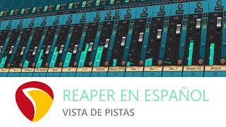 Como Mostrar y Ocultar Parámetros de Pistas Cambiando las Vistas de las Pistas REAPER ESPA TUTORIAL [upl. by Millar523]