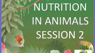 7th CBSE science Nutrition in Animals video lesson 2 [upl. by Pandolfi388]