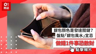 銀包顏色是發達關鍵？盤點6個「銀包風水」宜忌 做錯1件事恐散財 [upl. by Pressey]