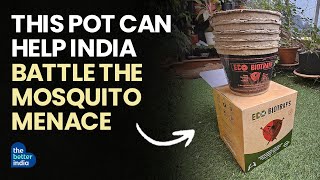 This Pot Can Help India Battle the Mosquito Menace [upl. by Ahsotan]