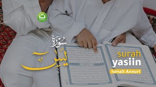 Bacaan Surah Yasin yang Menyejukkan Hati I Ismail Ali Nuri إسماعيل النوري  Tadabbur Daily [upl. by Ynnattirb]